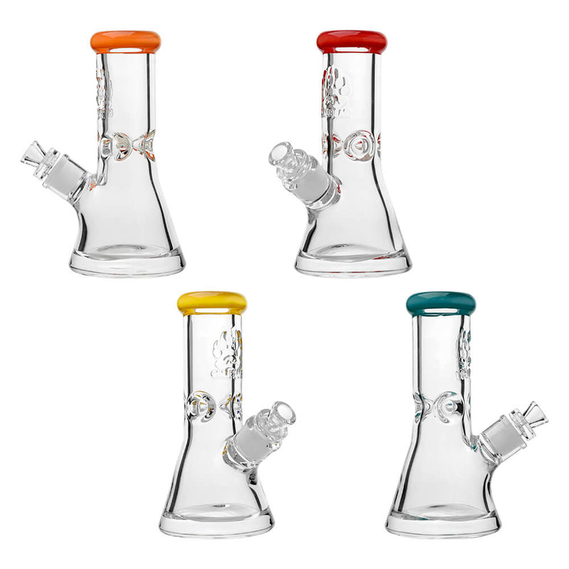CaliBear Classic 9mm Beaker Water Pipe - 8" | Etched Logo & Color Lip