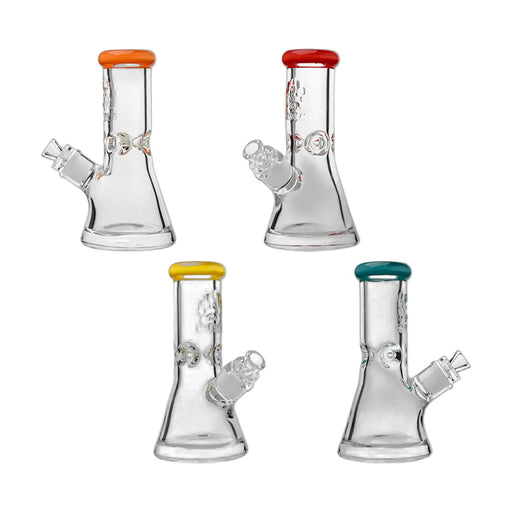 Calibear Classic 9 mm beaker water pipe, 8 inch with etched logo and color lip